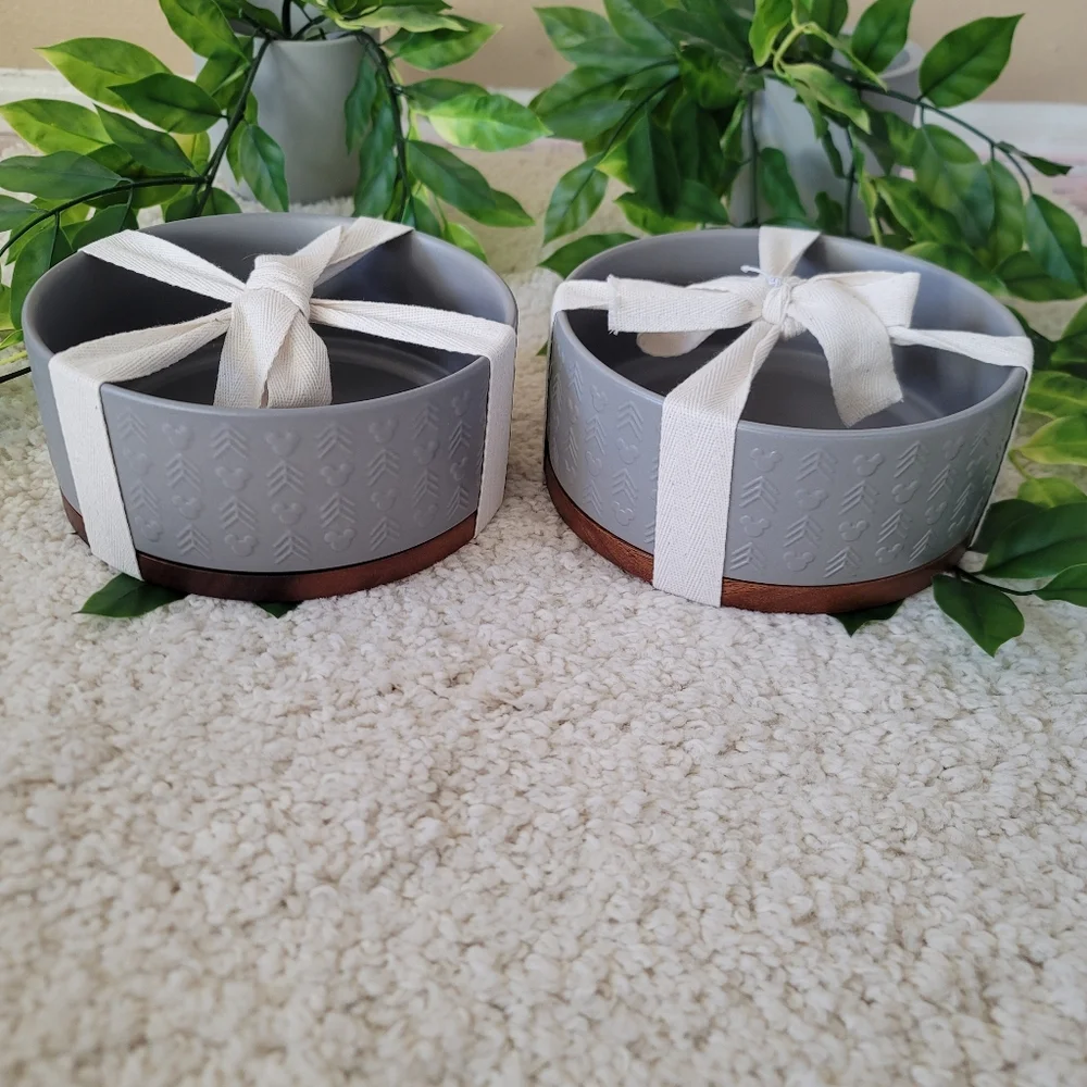Disney Puppy Food Bowls (x2)